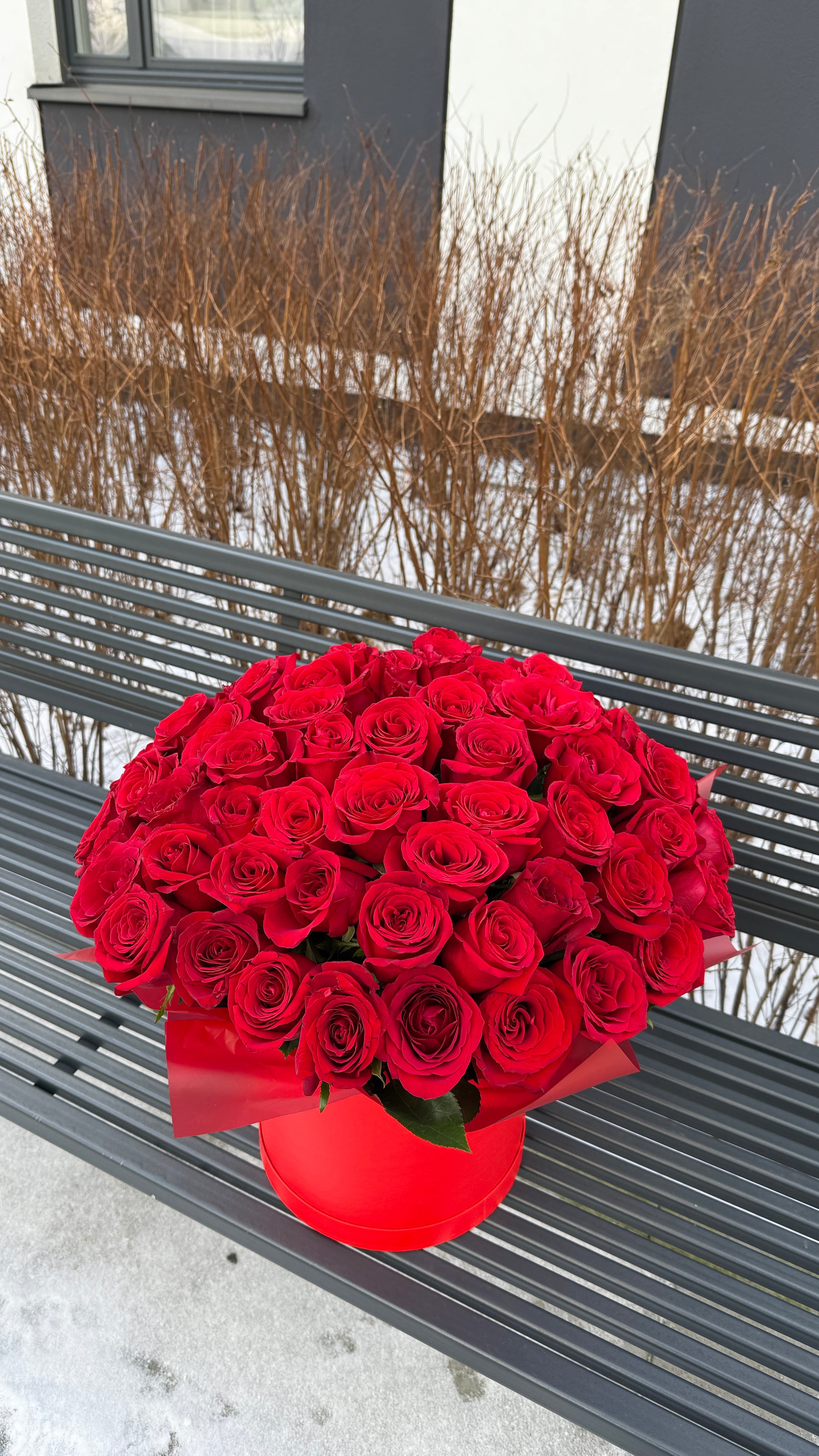 Flowerbox z czerwonych róż EKSPLORER