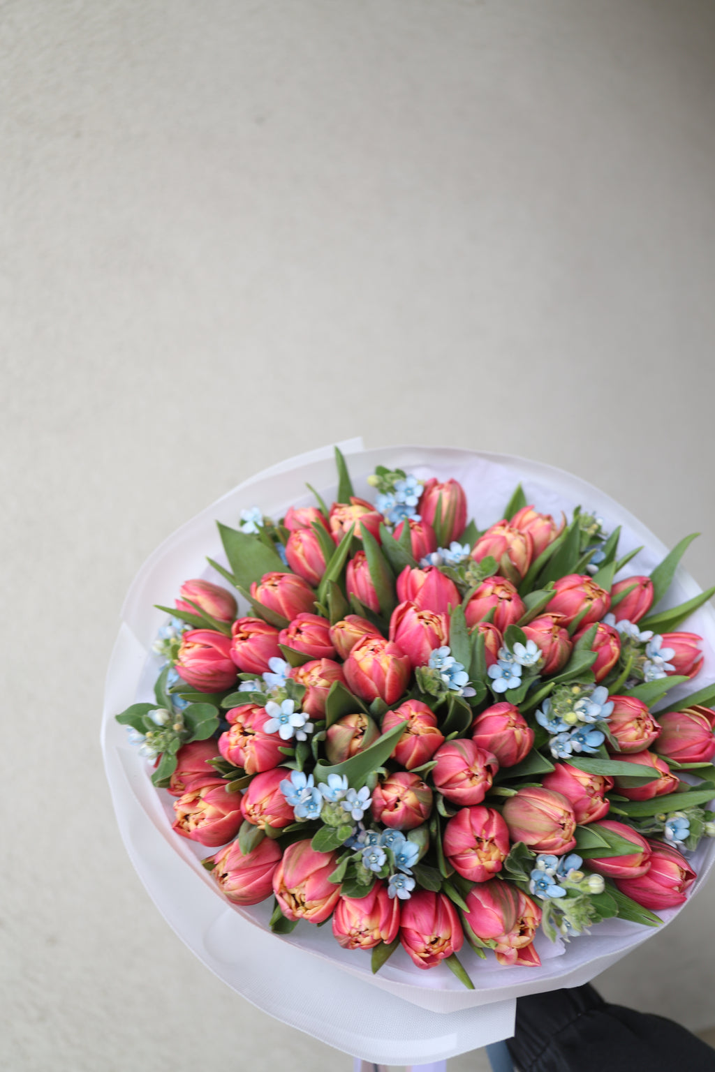 Bukiet tulipanów z oxypetalum