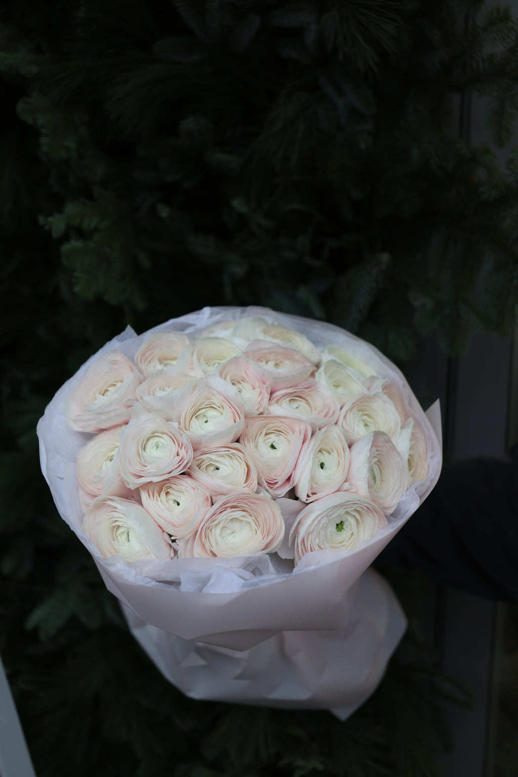 Bukiet jaskrów “Hanoi”