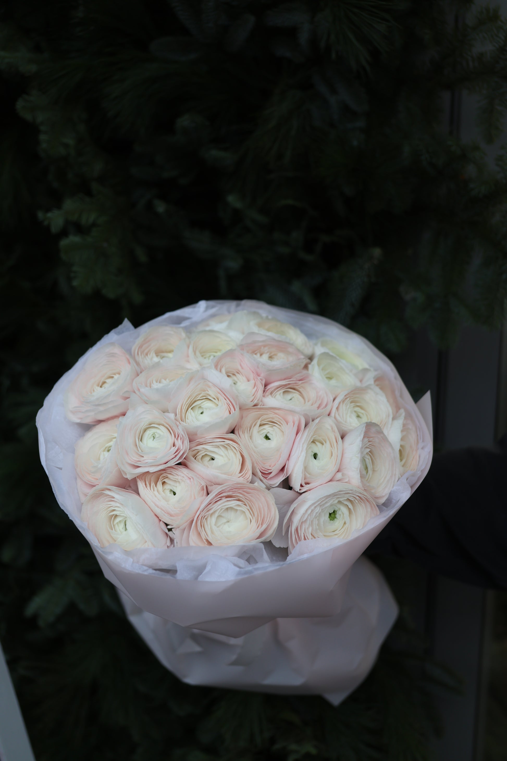 Bukiet jaskrów “Hanoi”