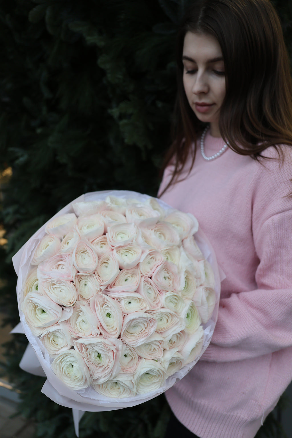 Bukiet jaskrów “Hanoi”