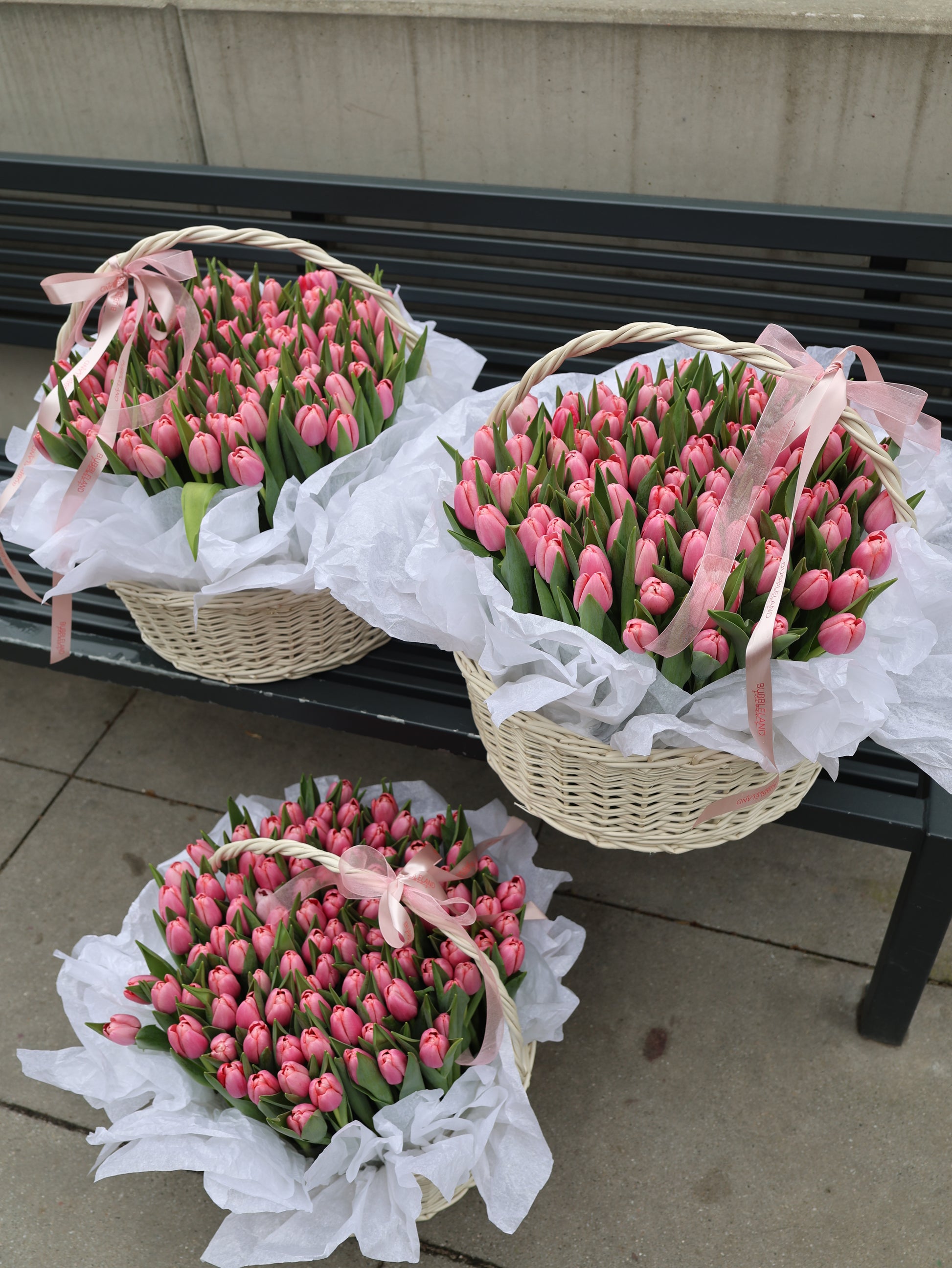 Kosz tulipanów - OFERTA WEEKENDOWA
