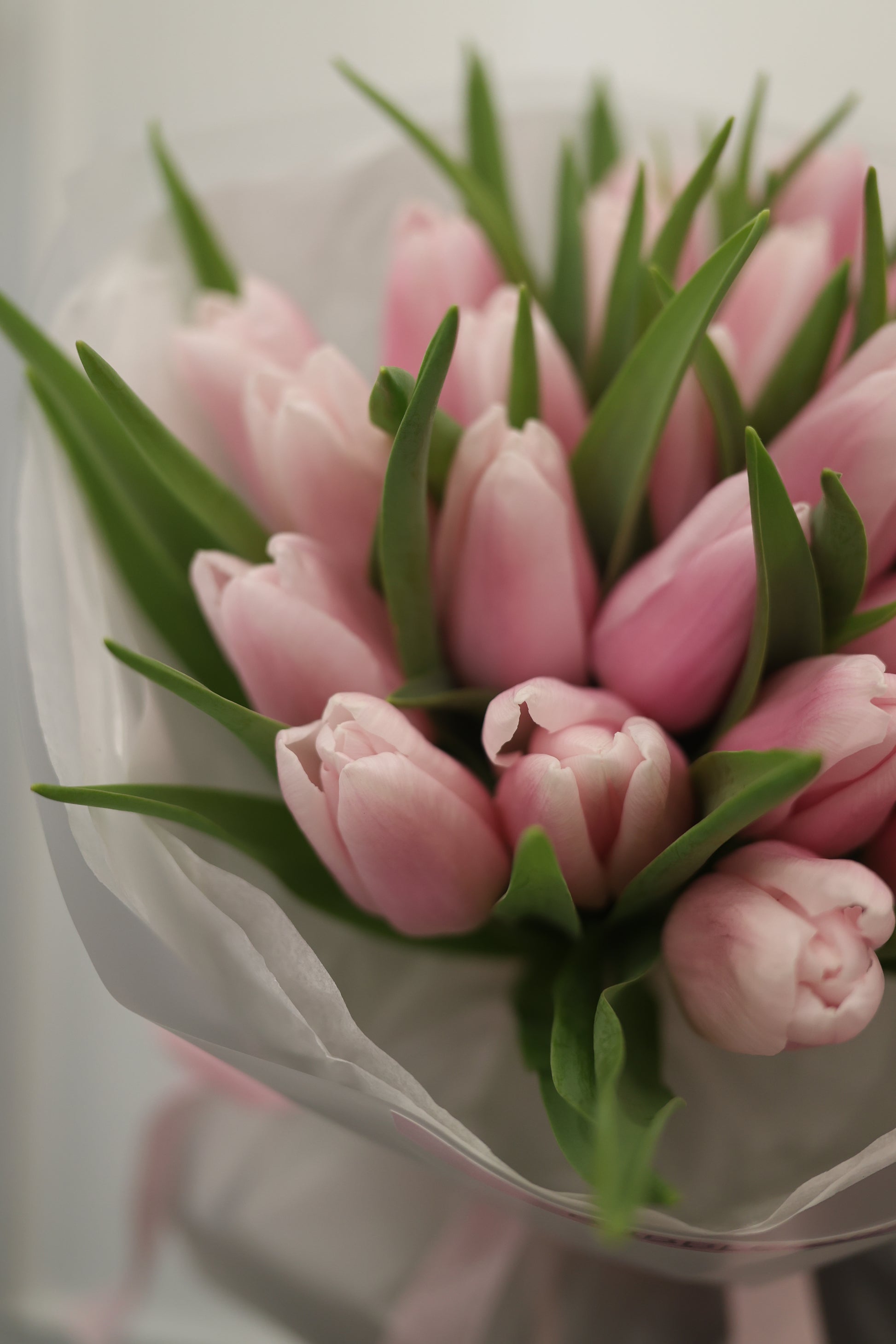 Bukiet tulipanów „delicate pink”