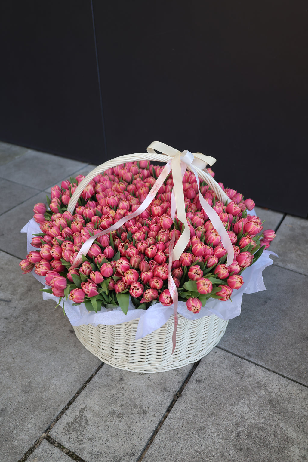 Kosz tulipanów piwoniowych