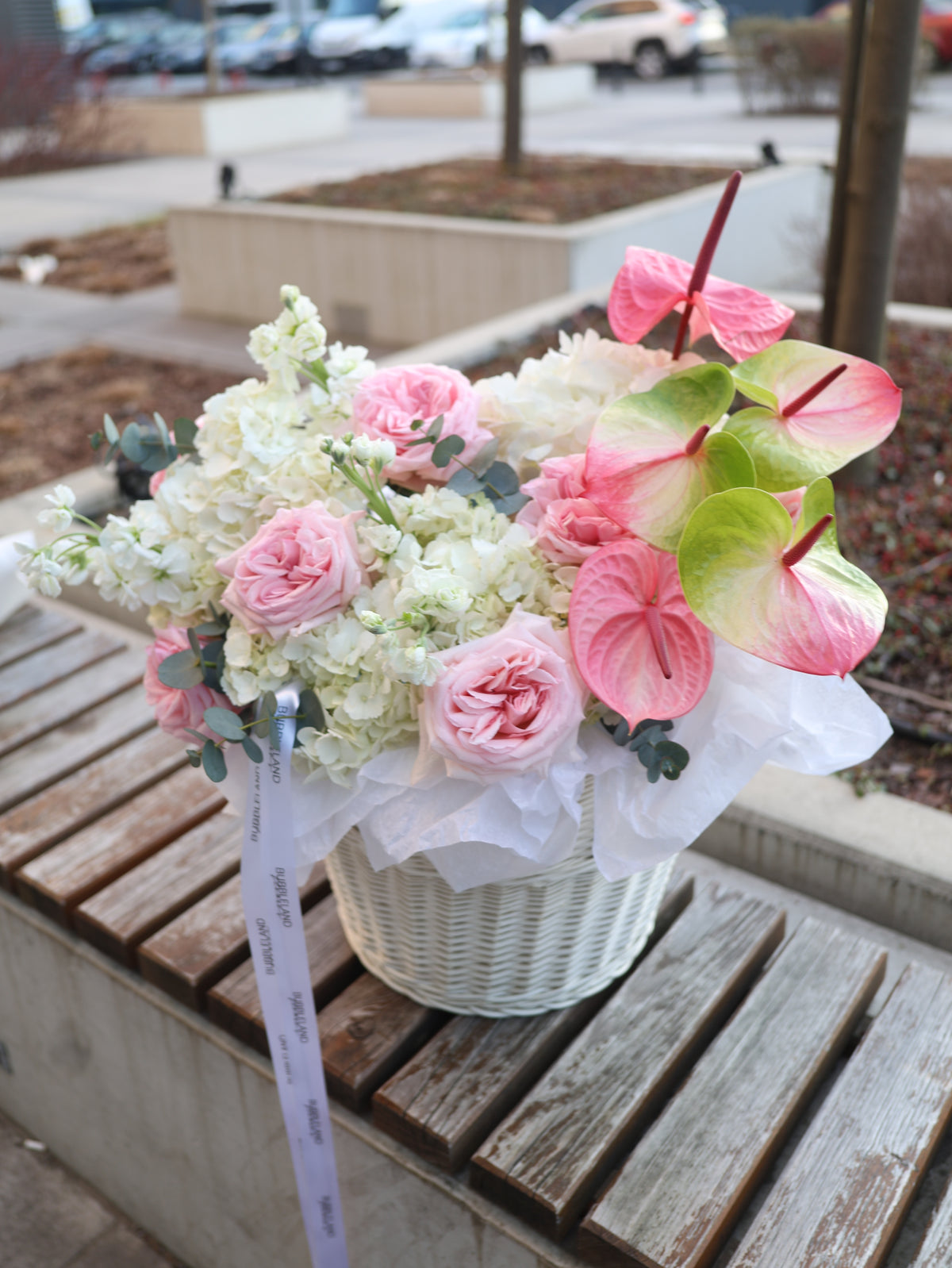 Kosz «Nature Arranged»