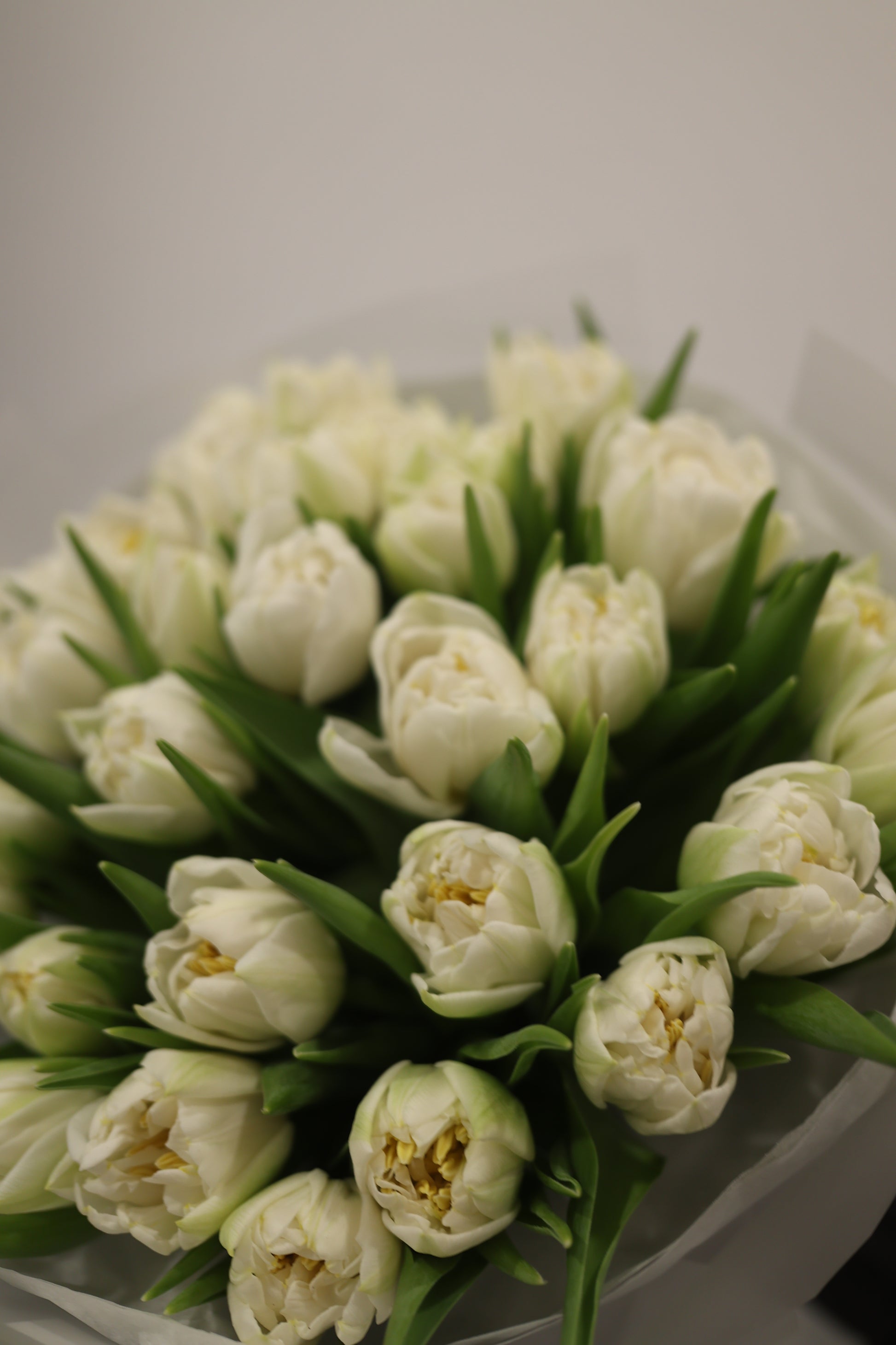 Bukiet białych piwoniowych tulipanów