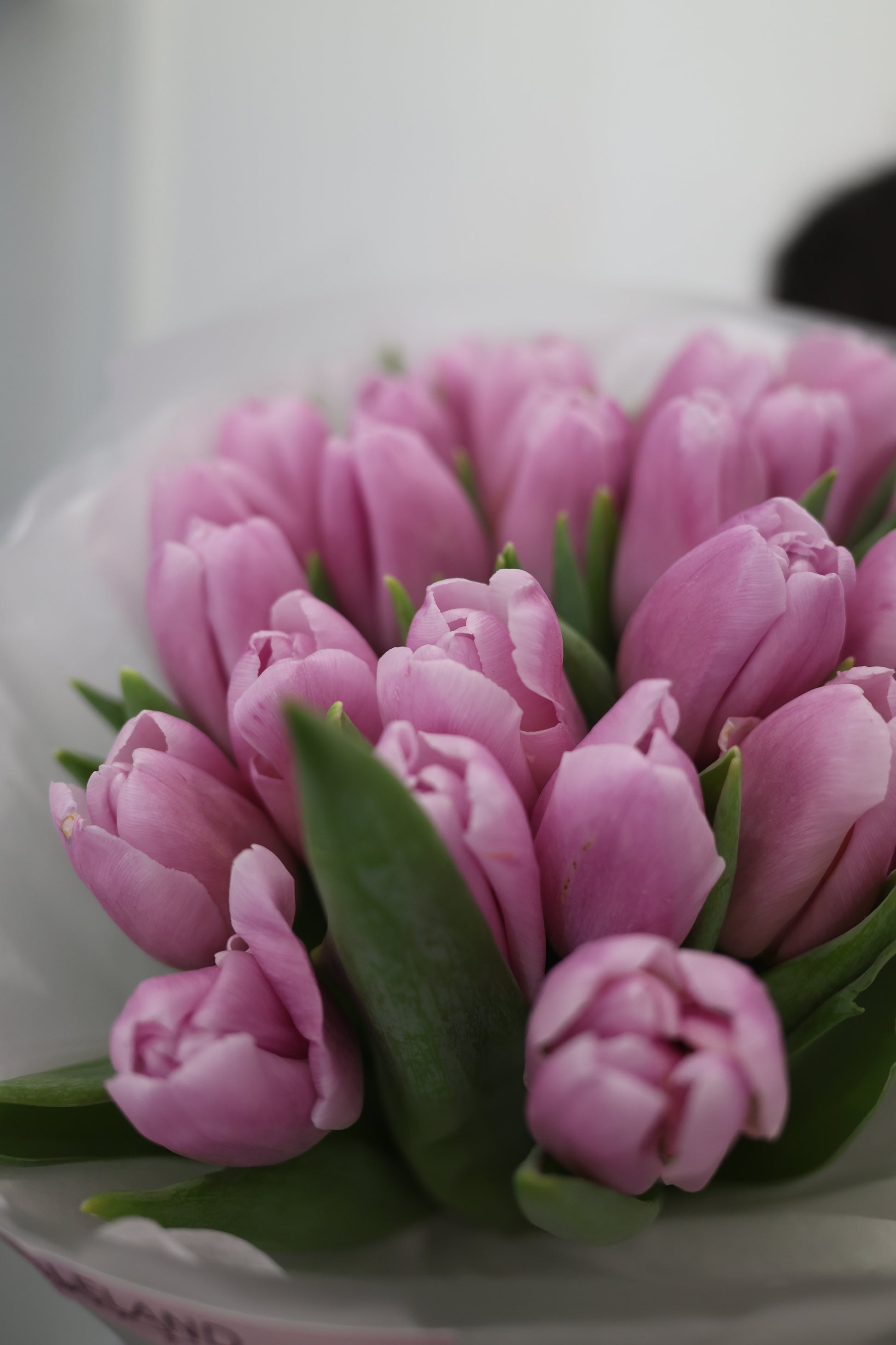 Bukiet tulipanów „ lilac”