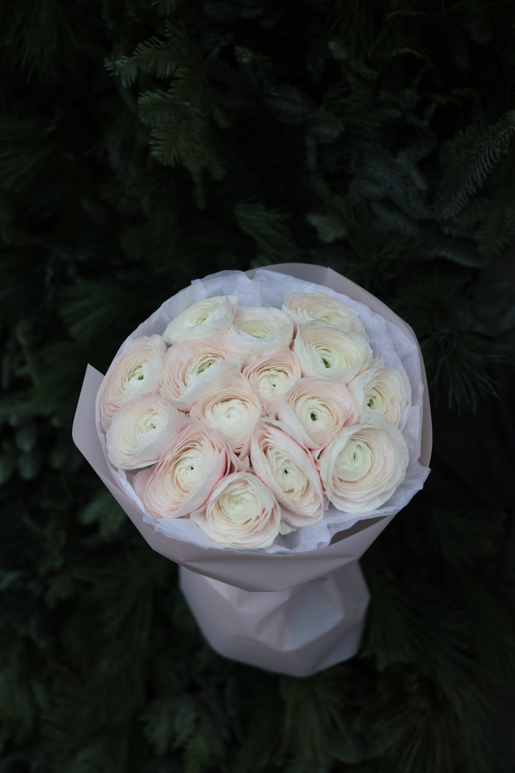 Bukiet jaskrów “Hanoi”