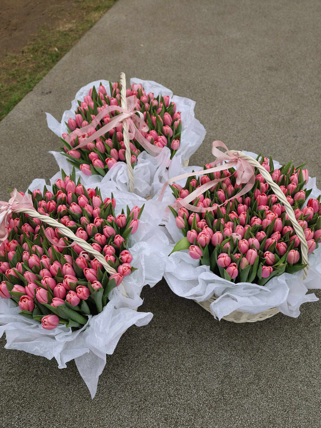 Kosz tulipanów - OFERTA WEEKENDOWA