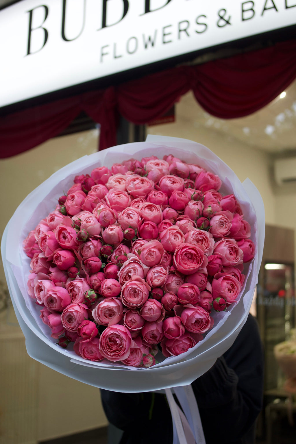 Piwoniowa Róża Silva Pink