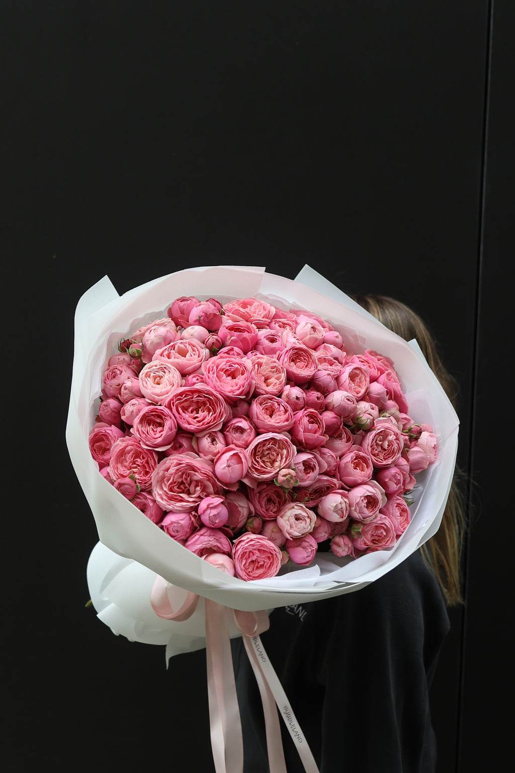 Piwoniowa Róża Silva Pink