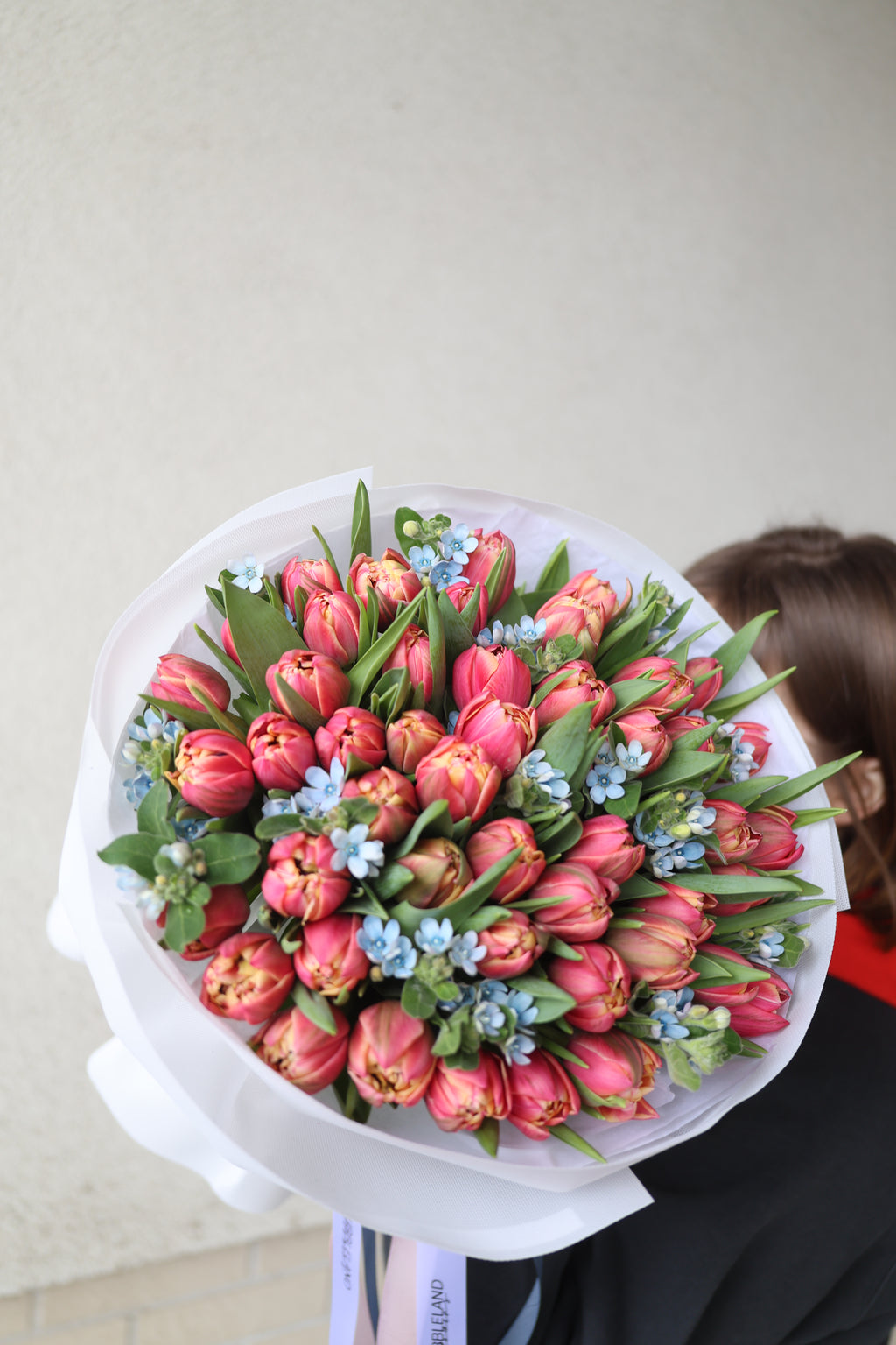 Bukiet tulipanów z oxypetalum