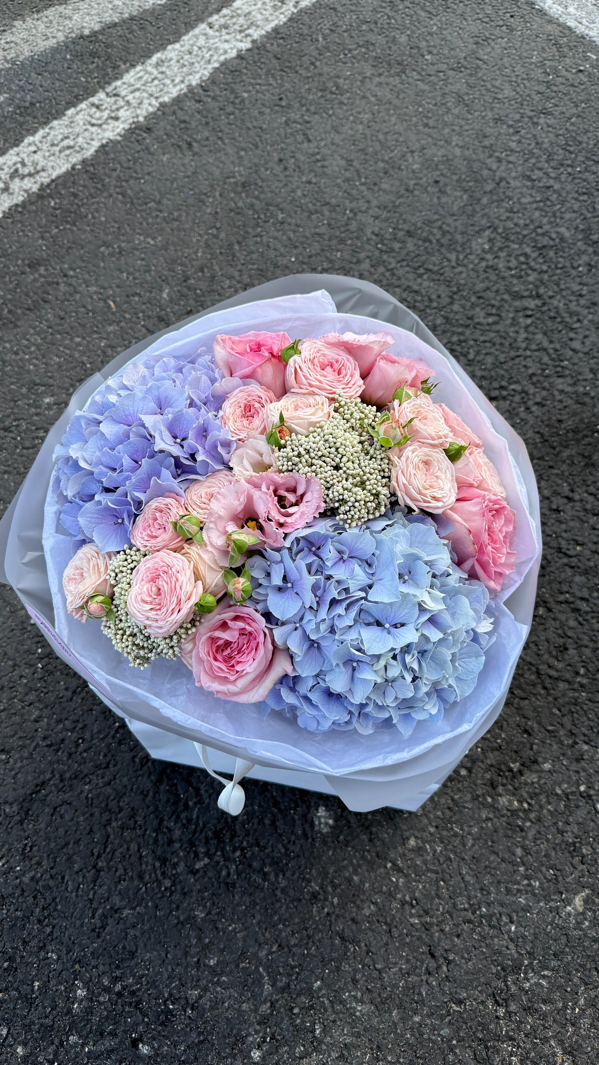 Sweet Bloom