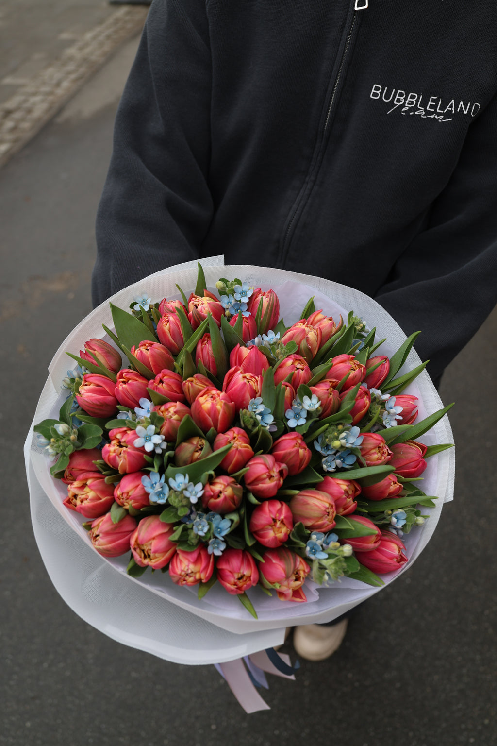 Bukiet tulipanów z oxypetalum