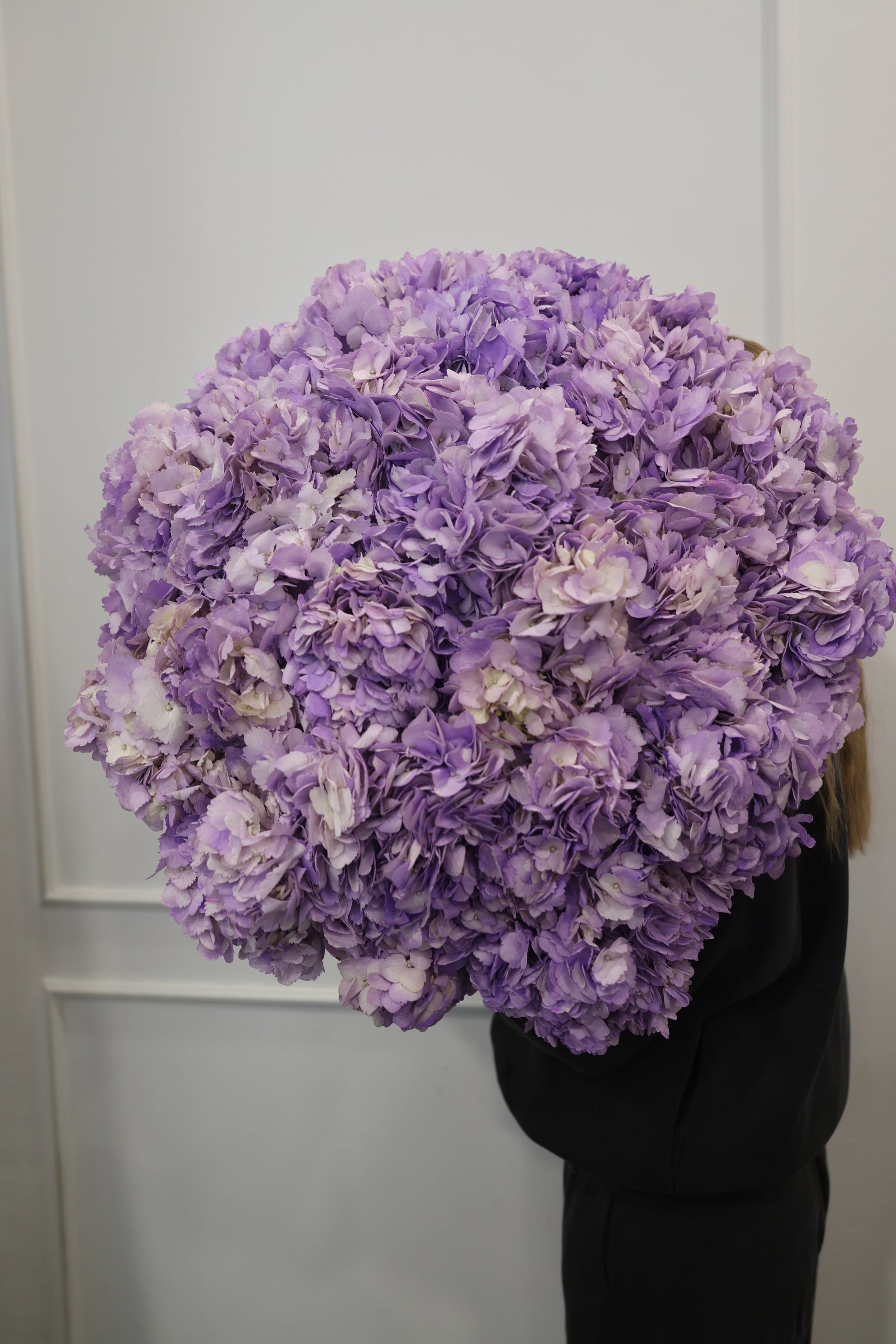 SUPER OFERTA TYGODNIA! Bukiet hortensji lawendowych